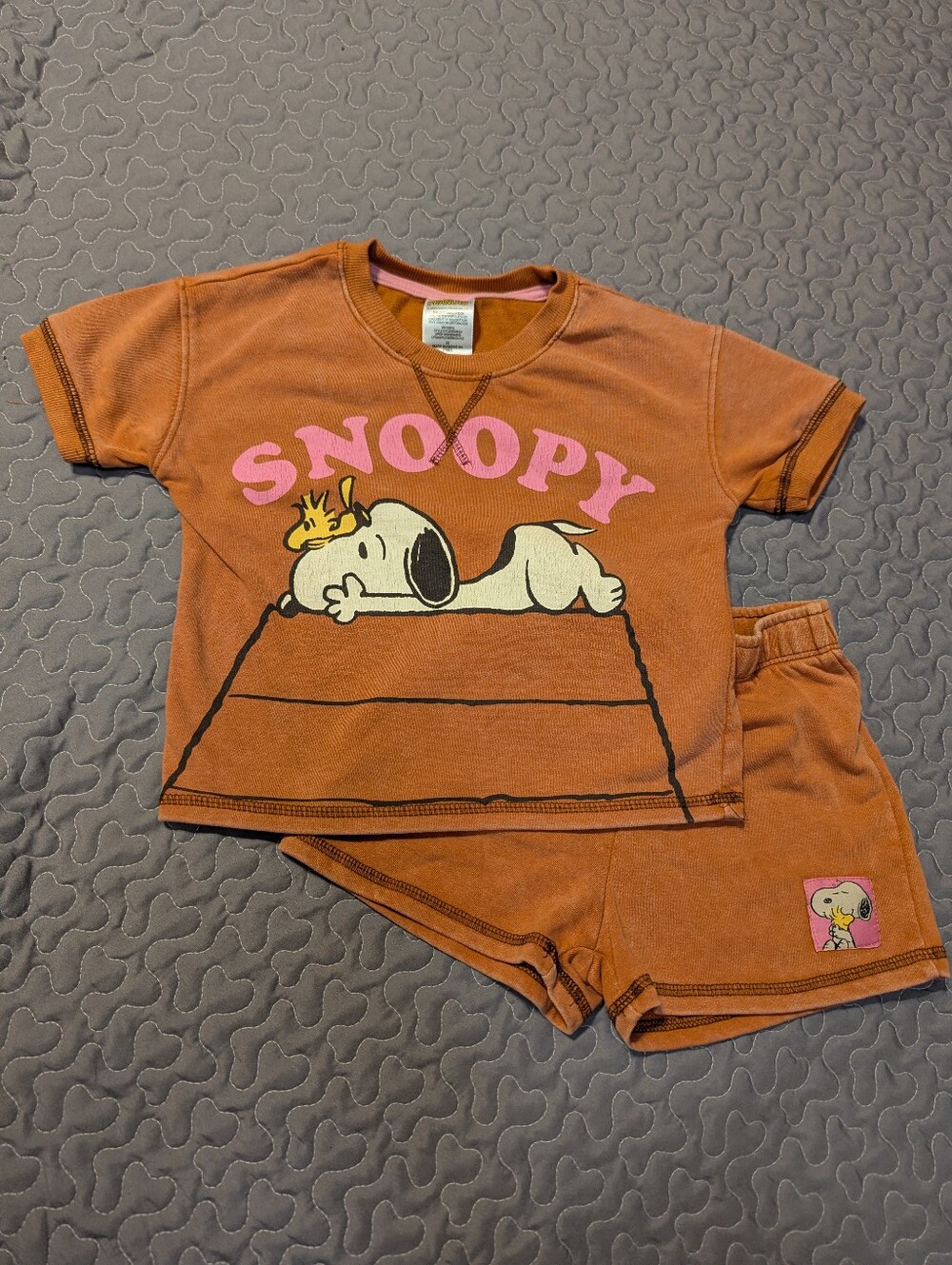 Peanuts Snoopy Woodstock Outfit 4 Toddlers Top and Shorts Size 4T